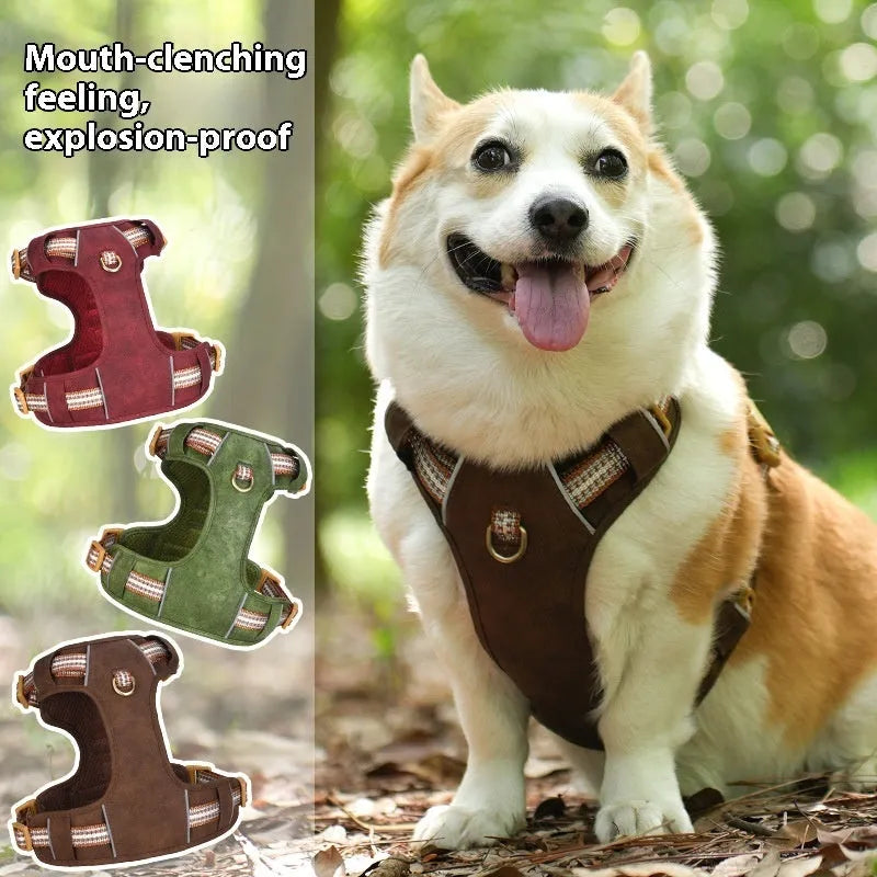 Brown leather dog harness with reflective strips and metal buckle closure