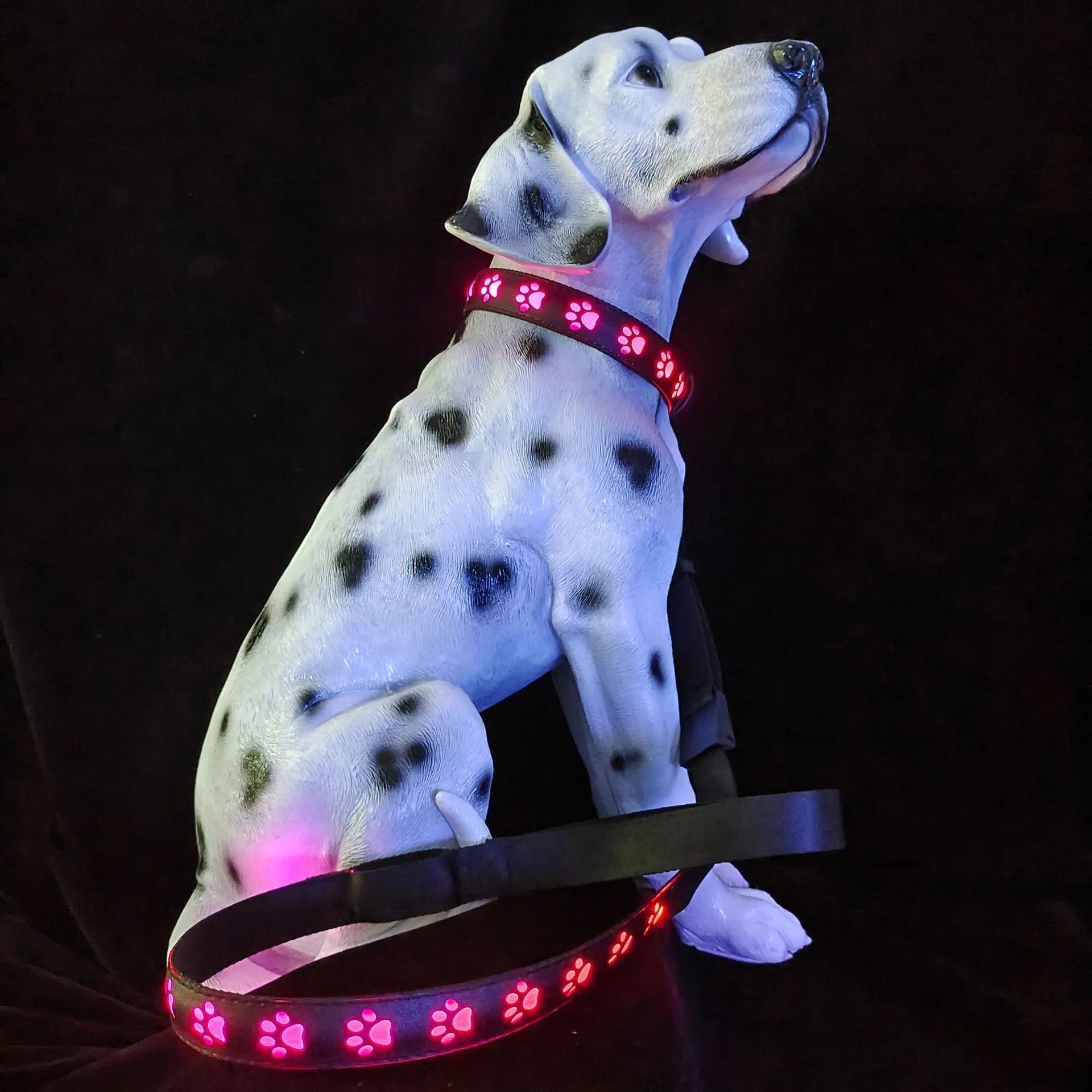 LED luminous dog collar displaying multiple colours with a paw print, shown on an adjustable polyester strap.