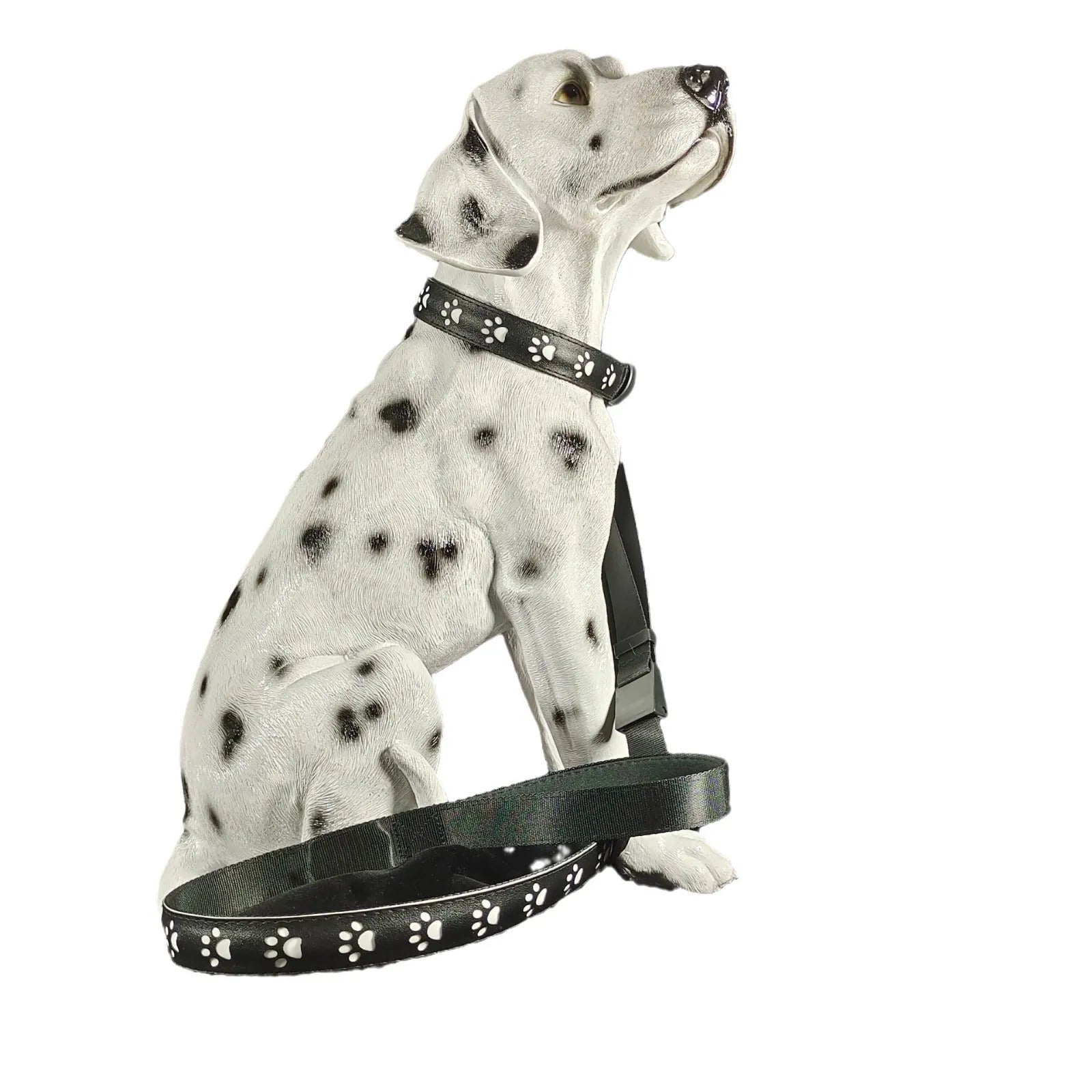LED luminous dog collar displaying multiple colours with a paw print, shown on an adjustable polyester strap.