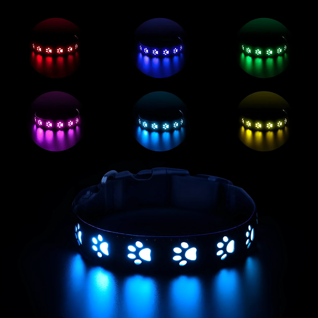 LED luminous dog collar displaying multiple colours with a paw print, shown on an adjustable polyester strap.