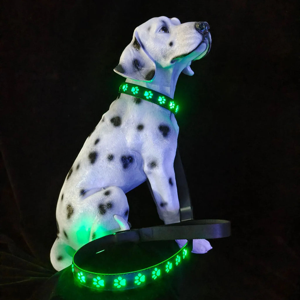 LED luminous dog collar displaying multiple colours with a paw print, shown on an adjustable polyester strap.
