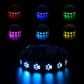 LED luminous dog collar displaying multiple colours with a paw print, shown on an adjustable polyester strap.