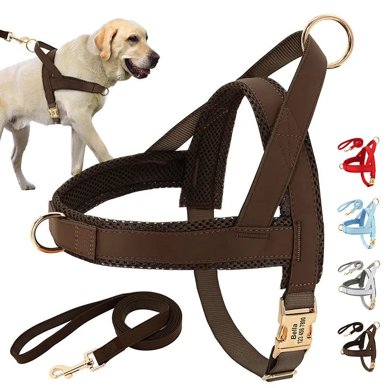 Large dog vest chest harness with lettering in black, adjustable straps, breathable fabric