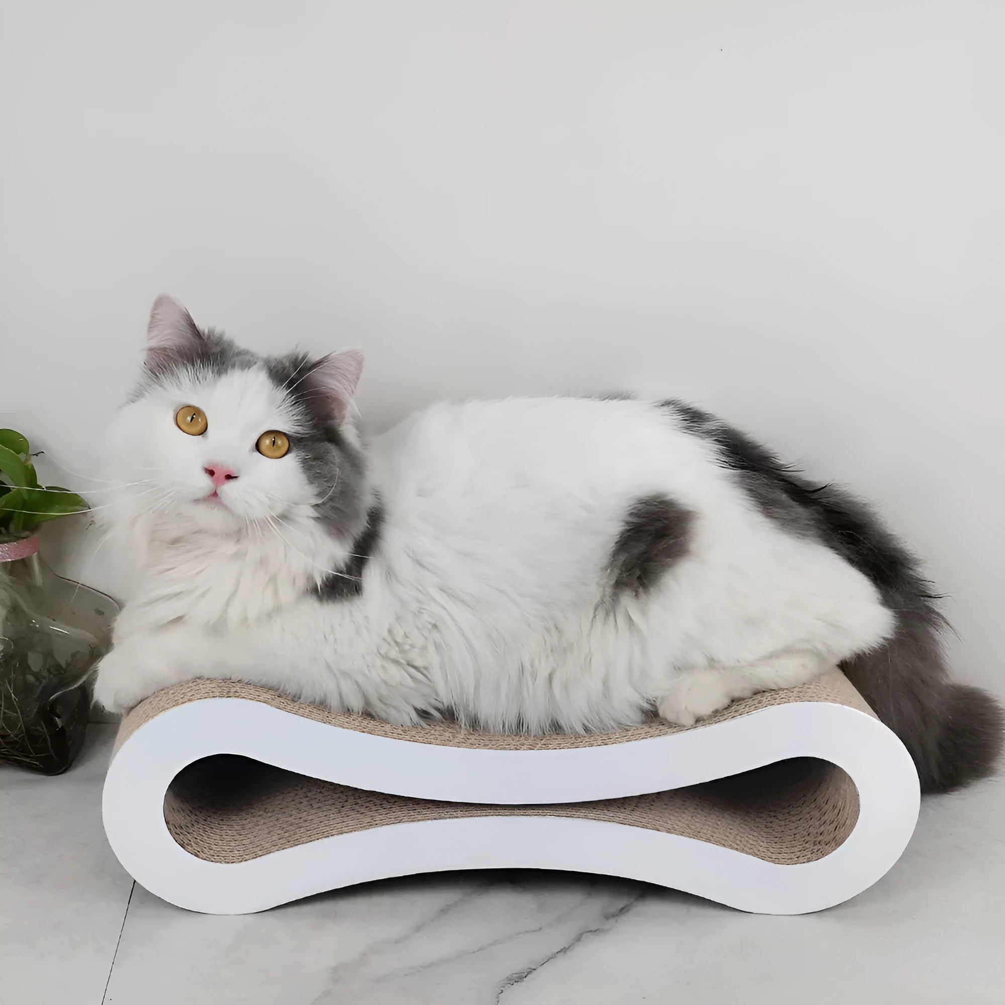 Eight-shaped corrugated paper cat scratch board white 430x210x130mm simple style