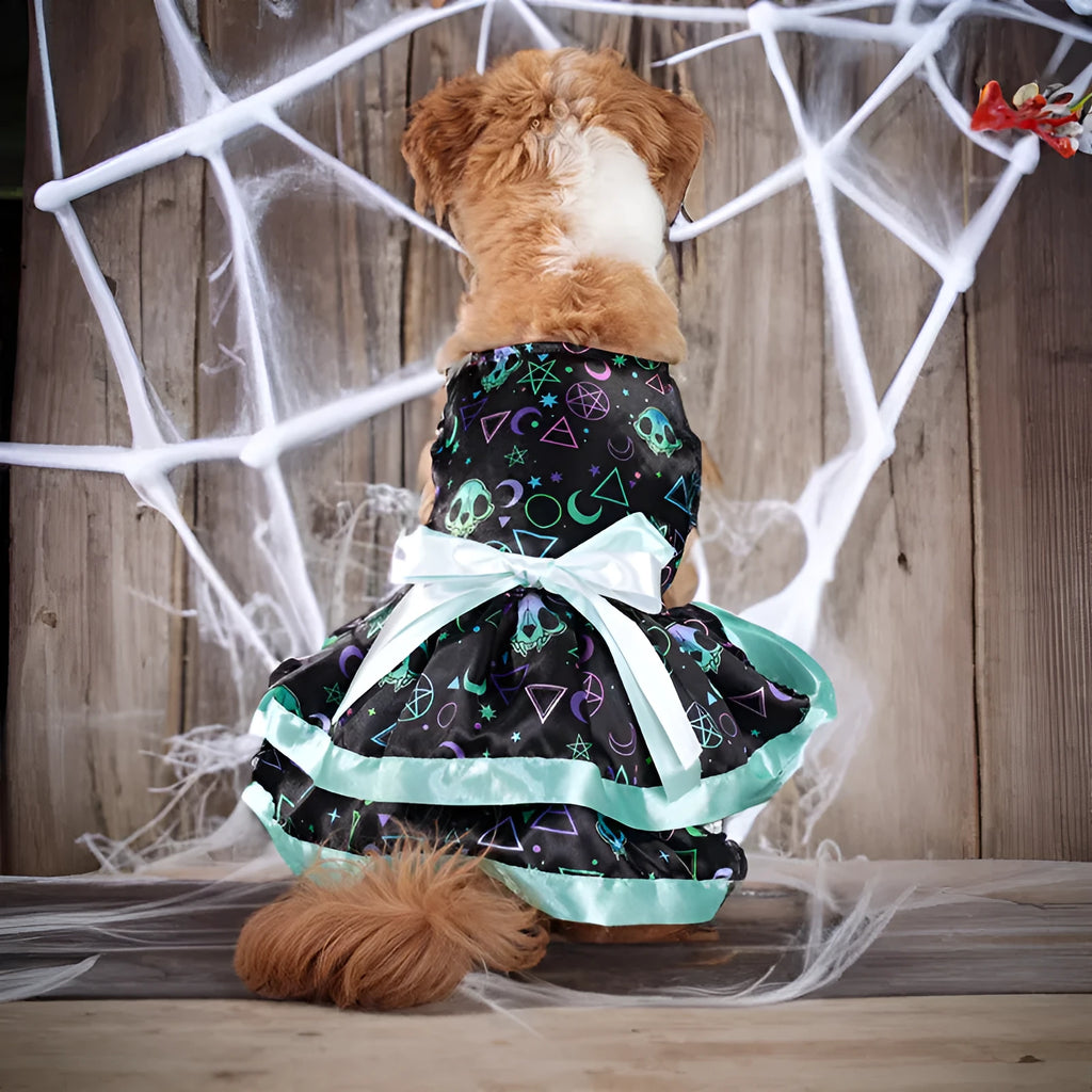A dog wearing a double-layer Halloween skirt with a colourful pumpkin print.