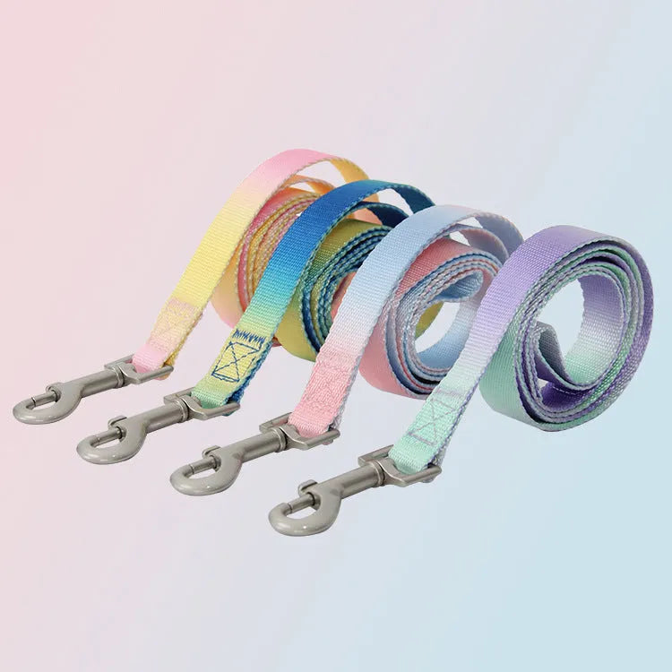 Gradient colour dog leash set showing nylon collar, harness, and matching lead in pink and yellow combination