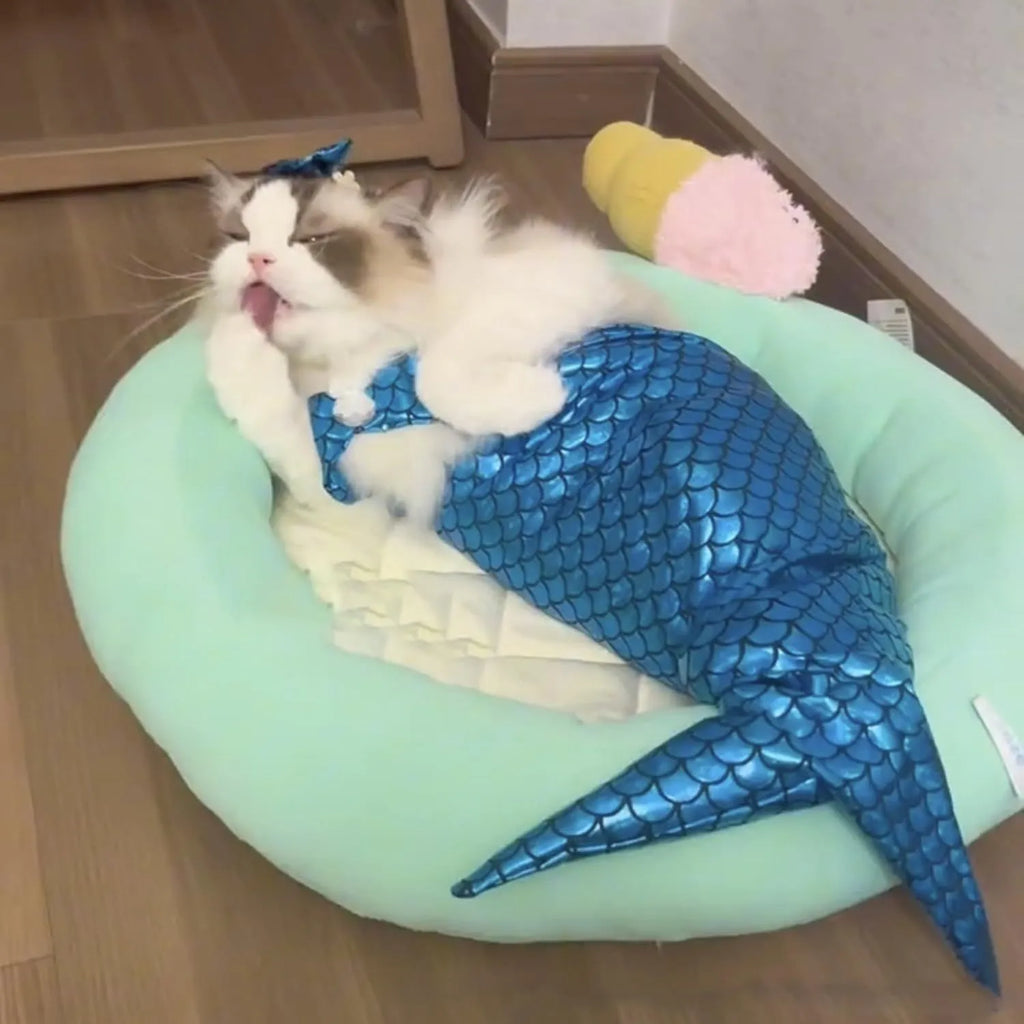 Blue mermaid costume on a small cat showing the long fishtail, scale pattern, and adjustable chest strap.