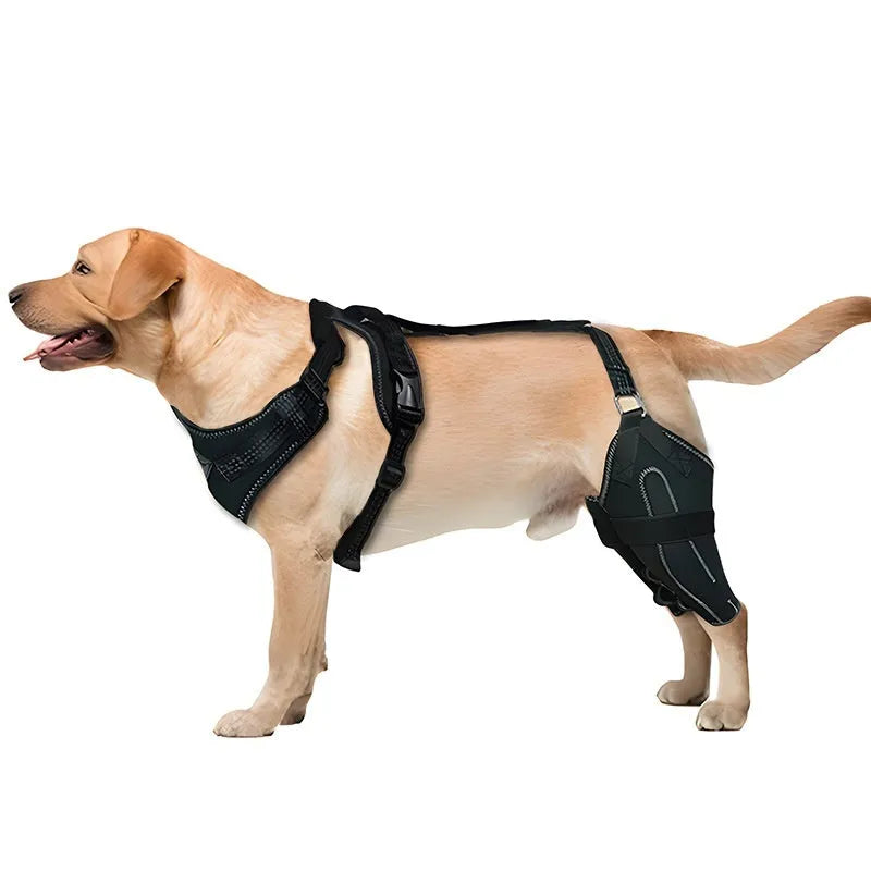 Black dog thigh protective sleeve with adjustable metal support for postoperative recovery