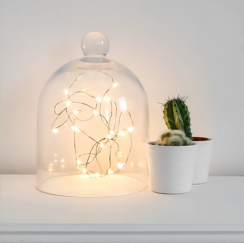 2 metre LED copper wire light string with battery box showing warm white and white light options