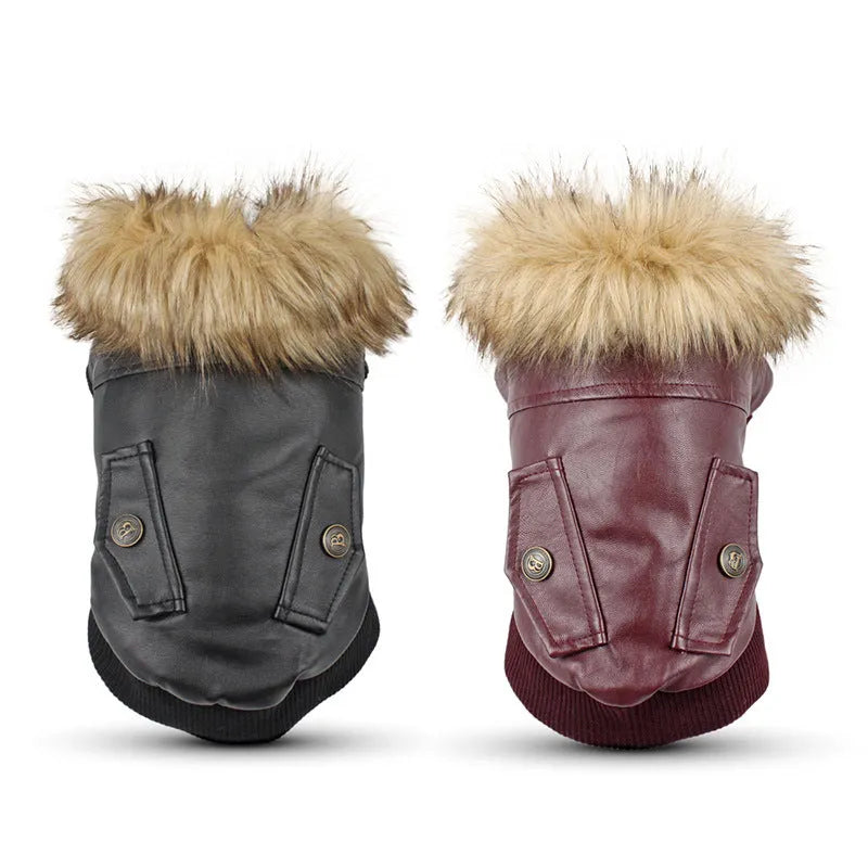 British-style leather dog coat with fur collar in black or wine red for autumn winter wear