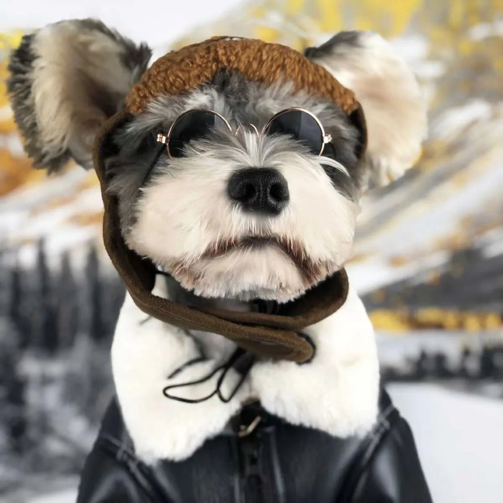 Leather dog jacket in black or brown with vest option for autumn winter pet clothing