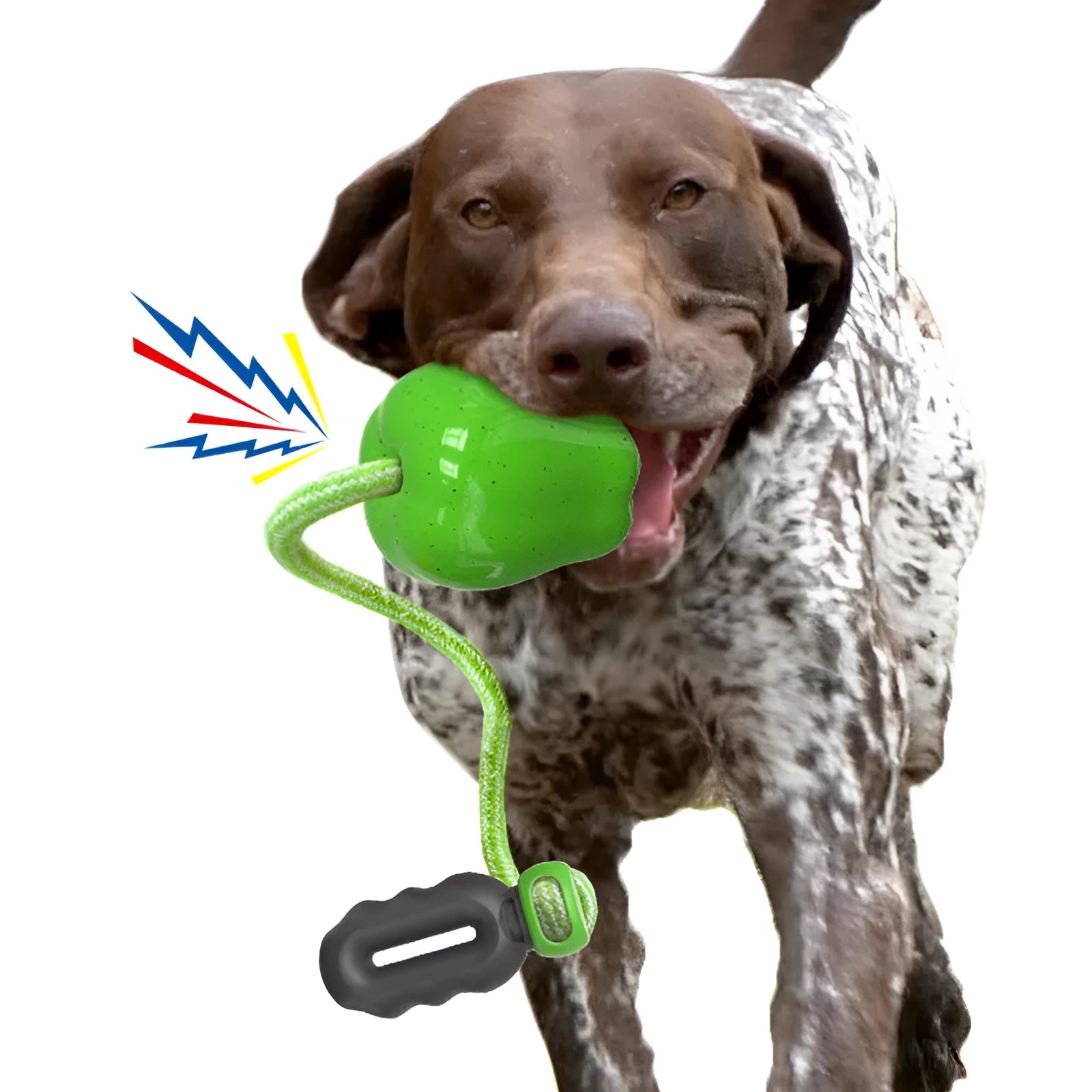 Green and red plastic dog dental ball toys with textured surfaces and hollow interactive feeder design