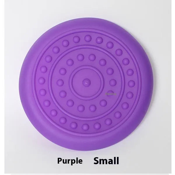 Plastic dog frisbee disc toy in multiple colour options for outdoor fetch games with pets