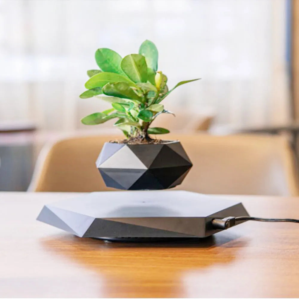 Hexagonal wood grain magnetic levitating flower pot floating 15mm above circular base