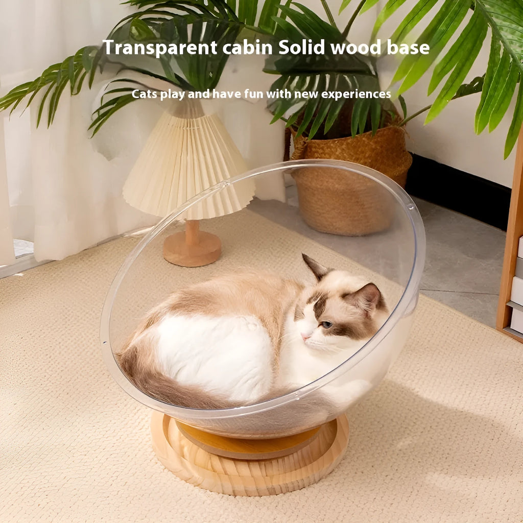 Transparent acrylic bathtub-shaped cat space capsule on a wood board base.