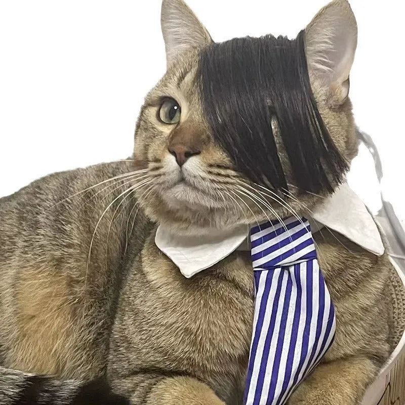 Black polyester fox braid wig for cats on a white background.
