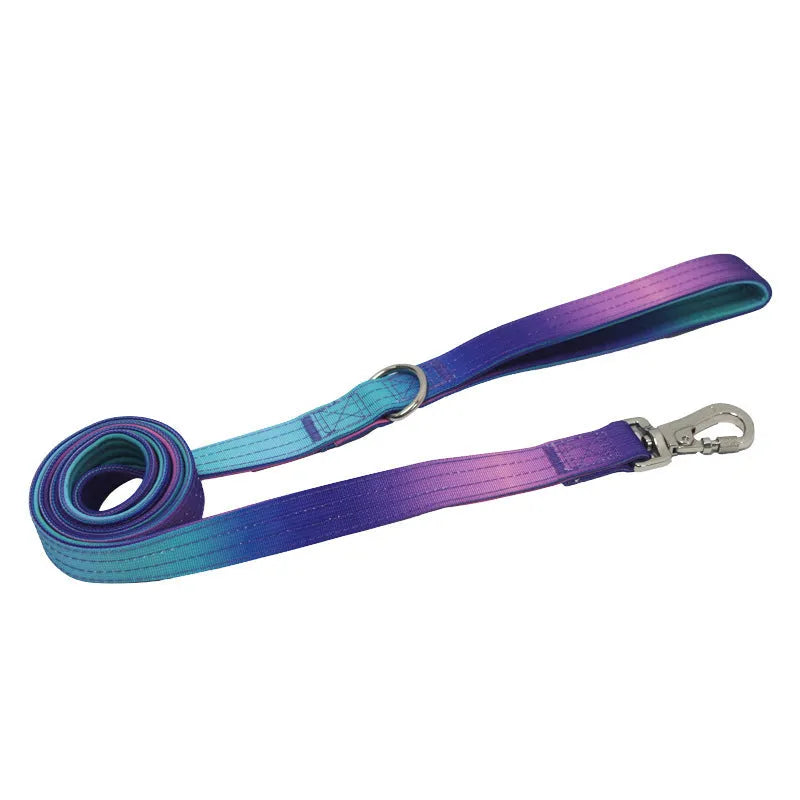 Widened gradient colour dog collar and leash set in blue purple combination with 2.5cm nylon construction