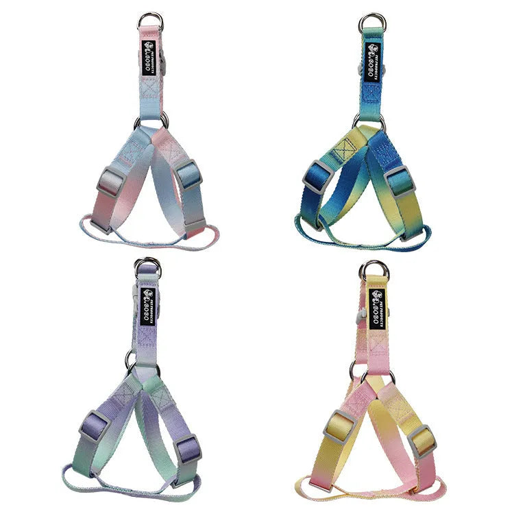 Gradient colour dog leash set showing nylon collar, harness, and matching lead in pink and yellow combination