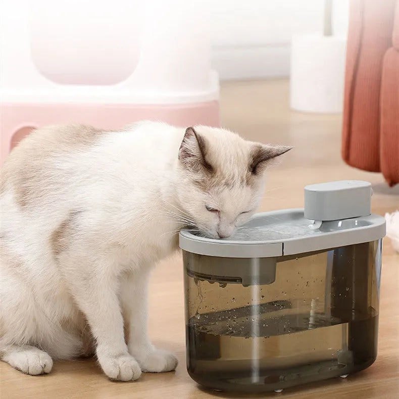 Automatic plastic drinking bowl for cats with infrared sensor, grey colour, on floor