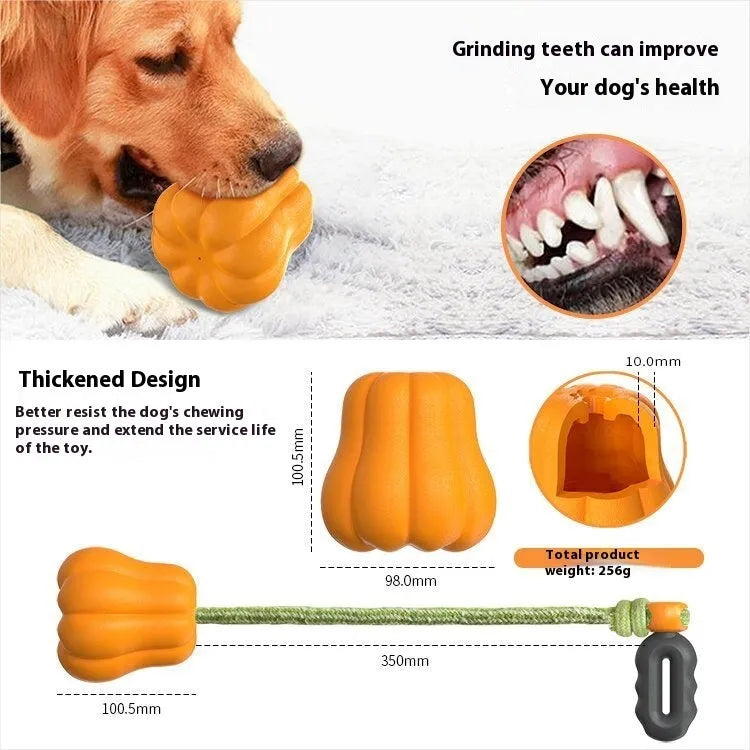 Single pumpkin coloured plastic molar dog toy with an attached rope for chewing and fetch.