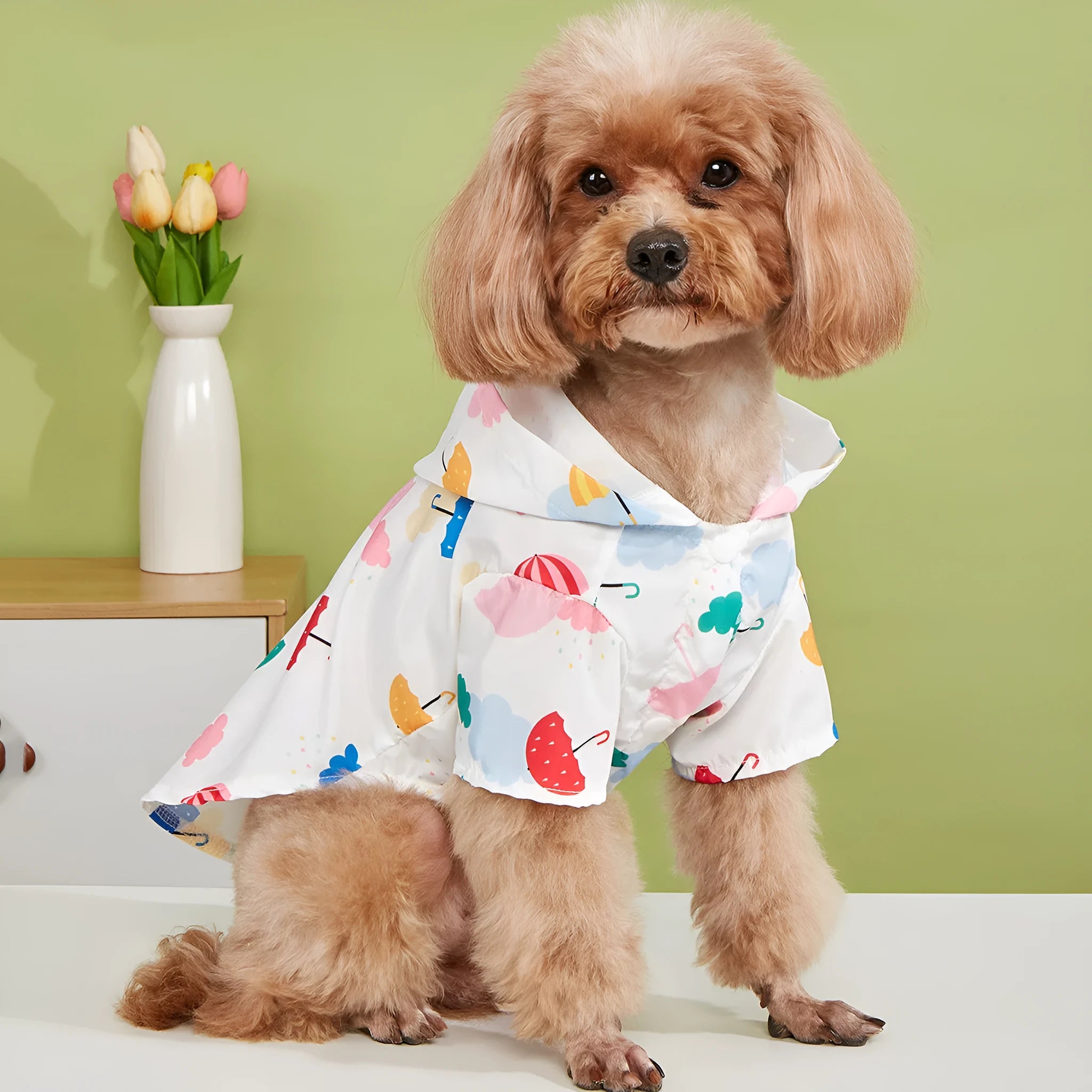 Colourful cartoon umbrella pattern dog raincoat in size L made from blue and yellow polyester.