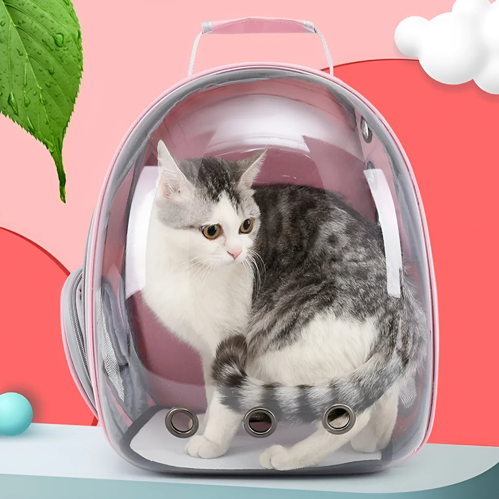 Hard-shell pet carrier bag in blue with side ventilation openings and 40-litre capacity