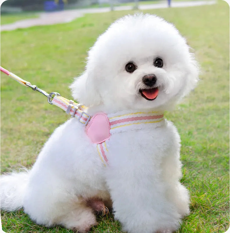 Blue breathable chest vest dog leash for small-medium breeds with 1.5m leash