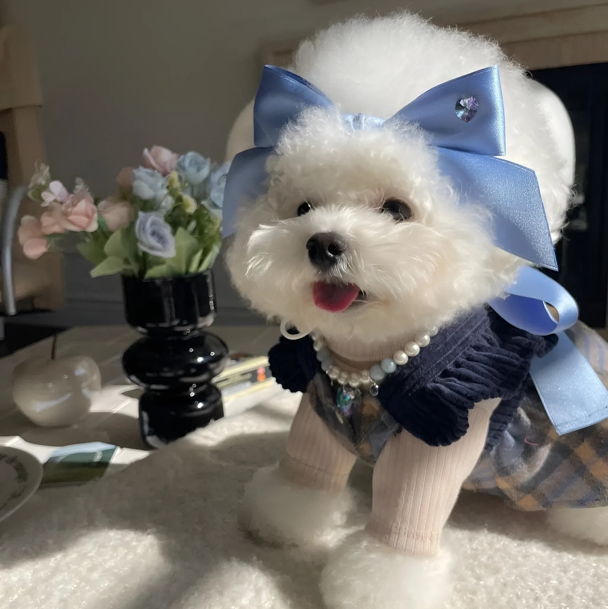 Blue adjustable princess bow hair band on a dog, showing the jacquard ribbon material and tension adjustment.