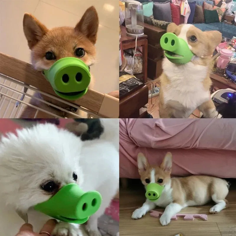 Blue and green silicone anti-bite mouth covers for dogs and pet pigs in two sizes