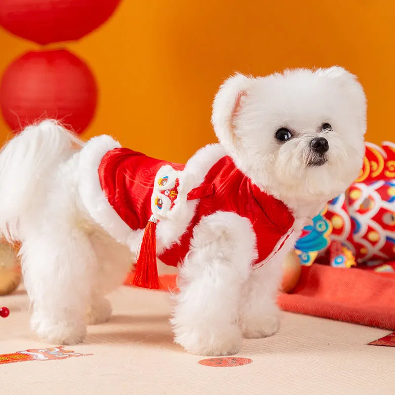 Red lion dance pet dog vest with 3D lion head ornament and golden buttons on white background