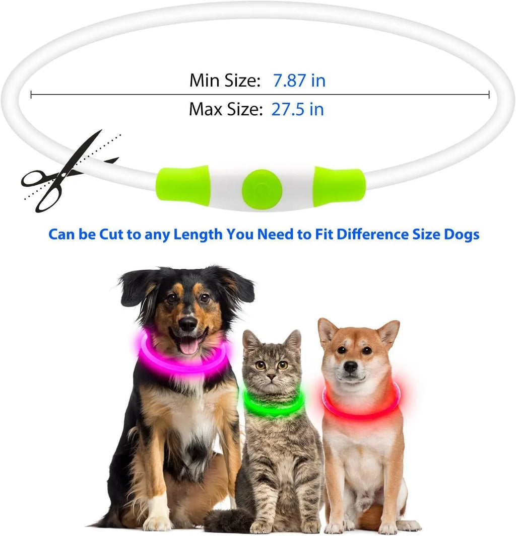 Blue USB rechargeable LED dog collar glowing on a dog's neck at night
