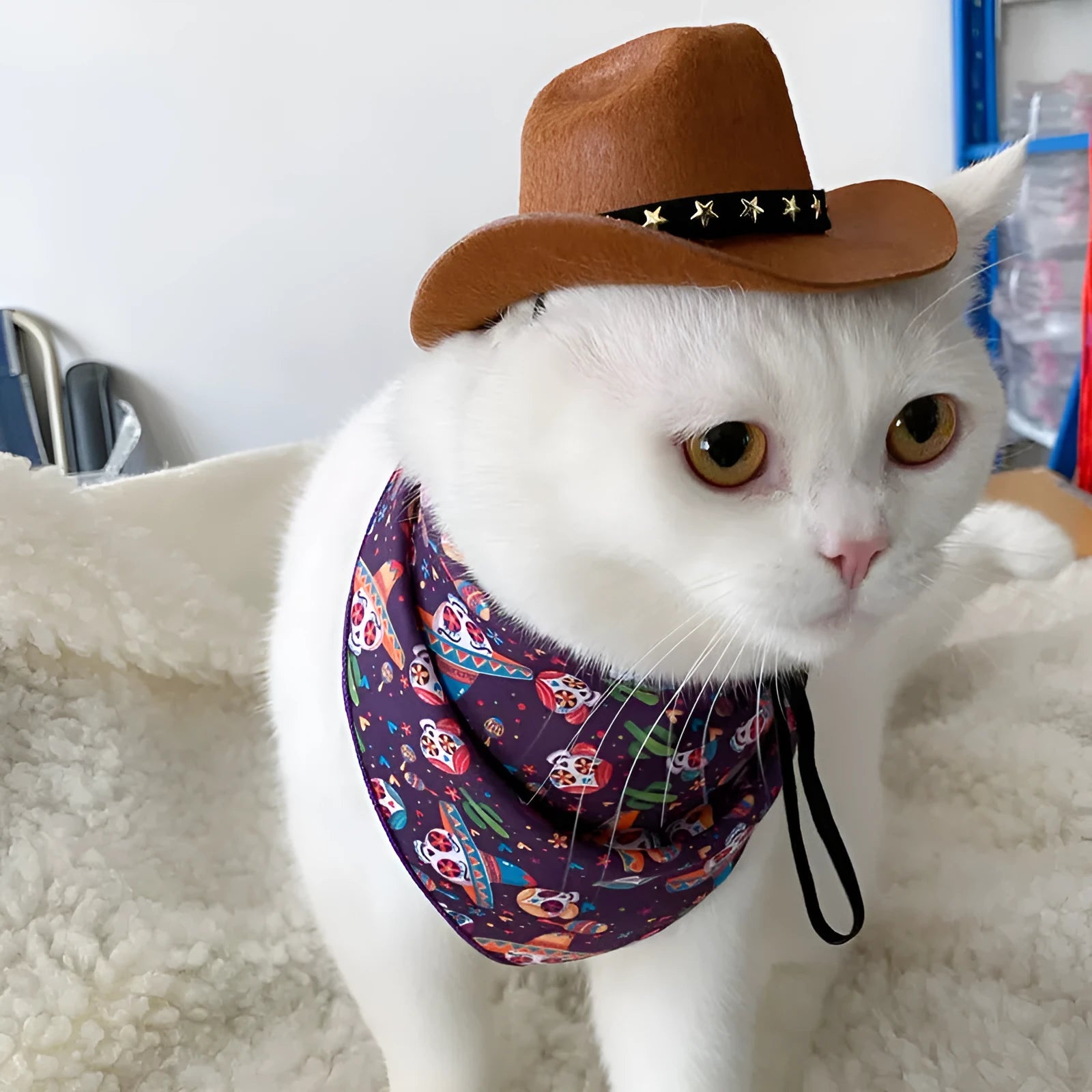 Brown British cowboy hat for a cat on a white background with a black ribbon trim.