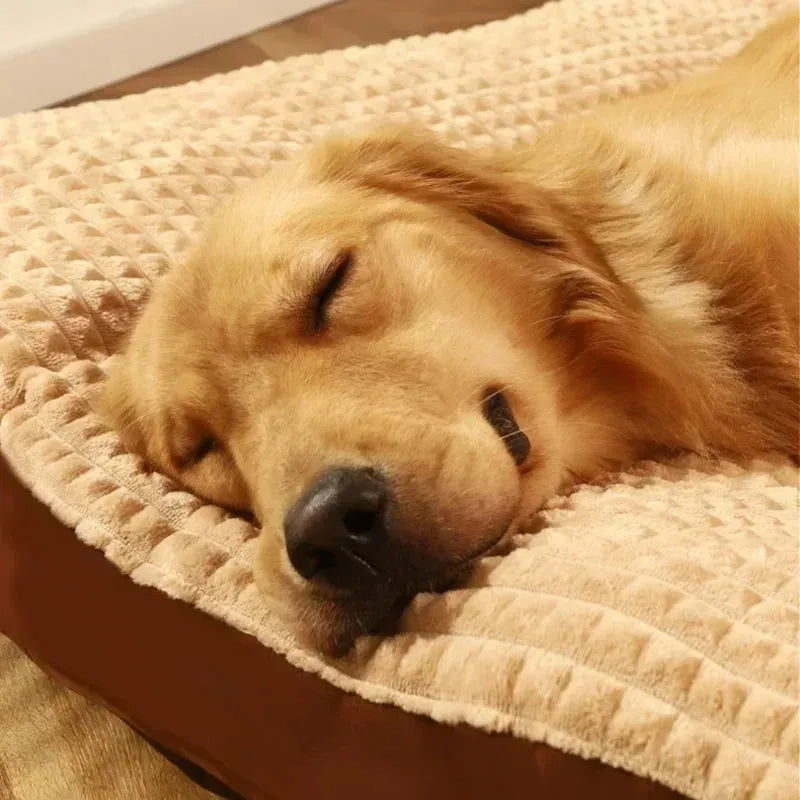 Soft fleece pet bed with detachable cushion mat in coffee colour for medium-sized dog
