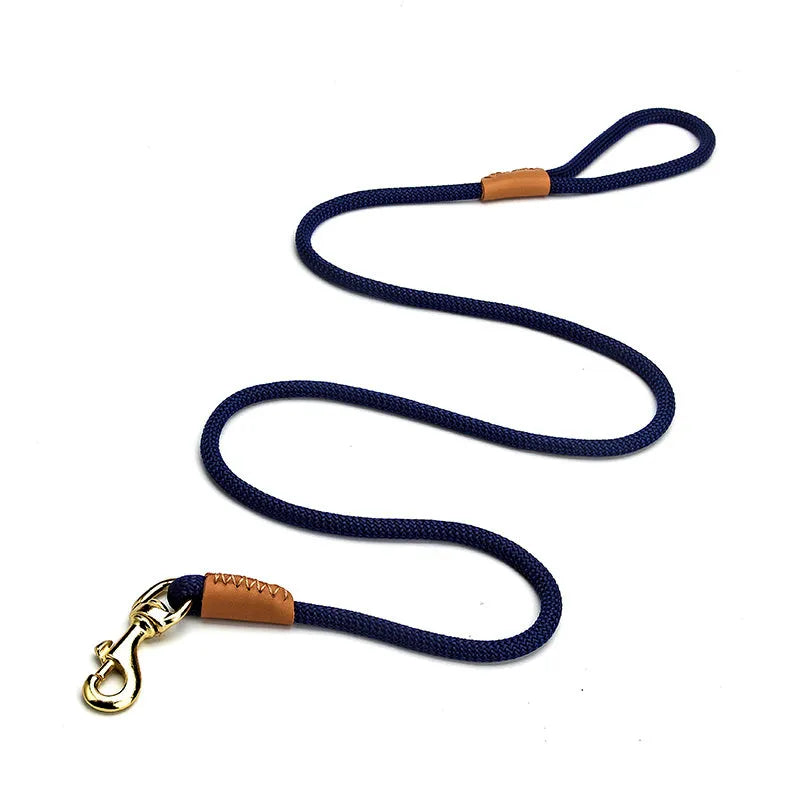 Lightweight blue nylon dog leash with metal clip on a white background.
