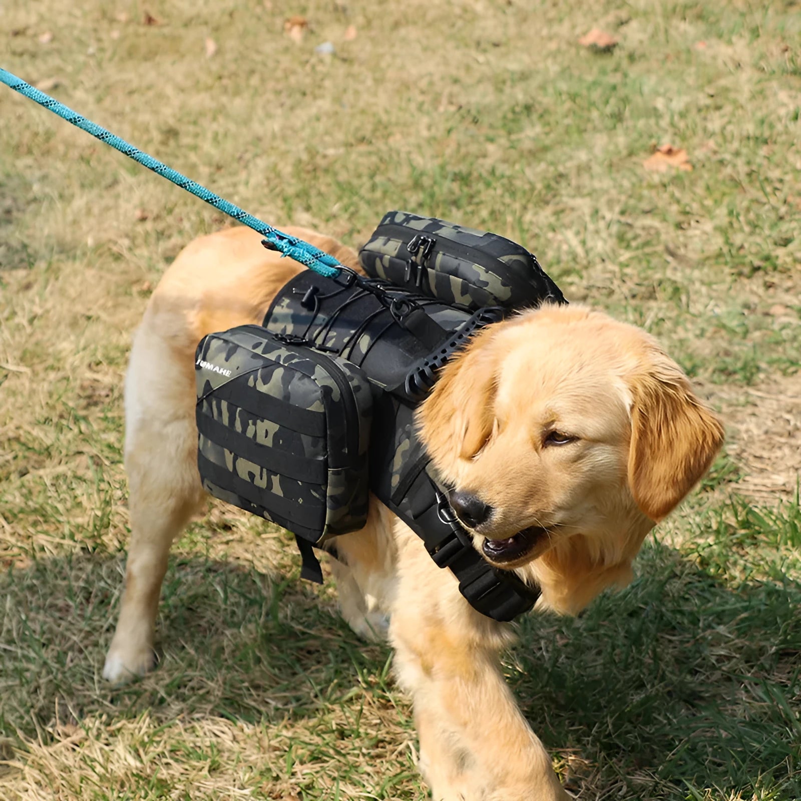 Oxford cloth pet bag dog walking snack pack in solid colour for small medium large dogs