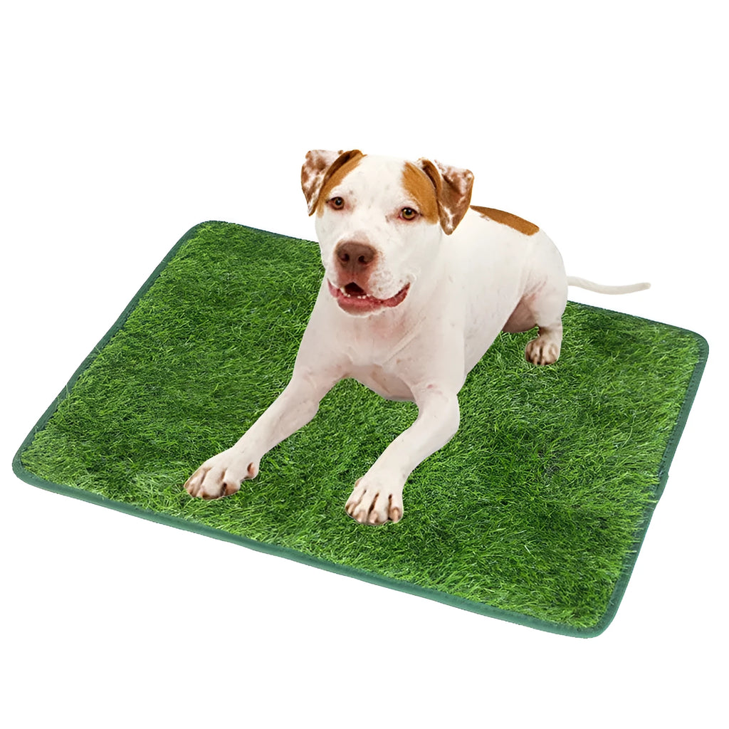 Green realistic dog grass pee training pad with waterproof backing, shown in small, medium, and large sizes.
