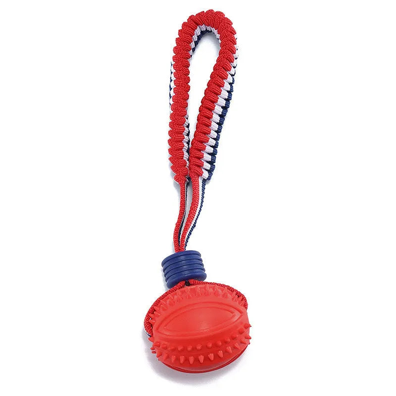 Blue rubber dog ball with rope attached, showing textured surface.