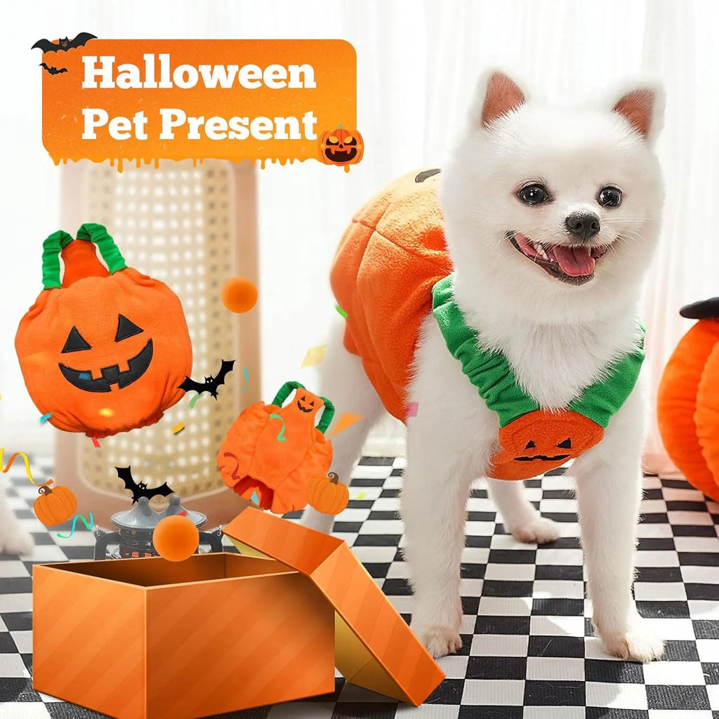 Orange pumpkin plush Halloween costume for small to medium dogs with pullover design