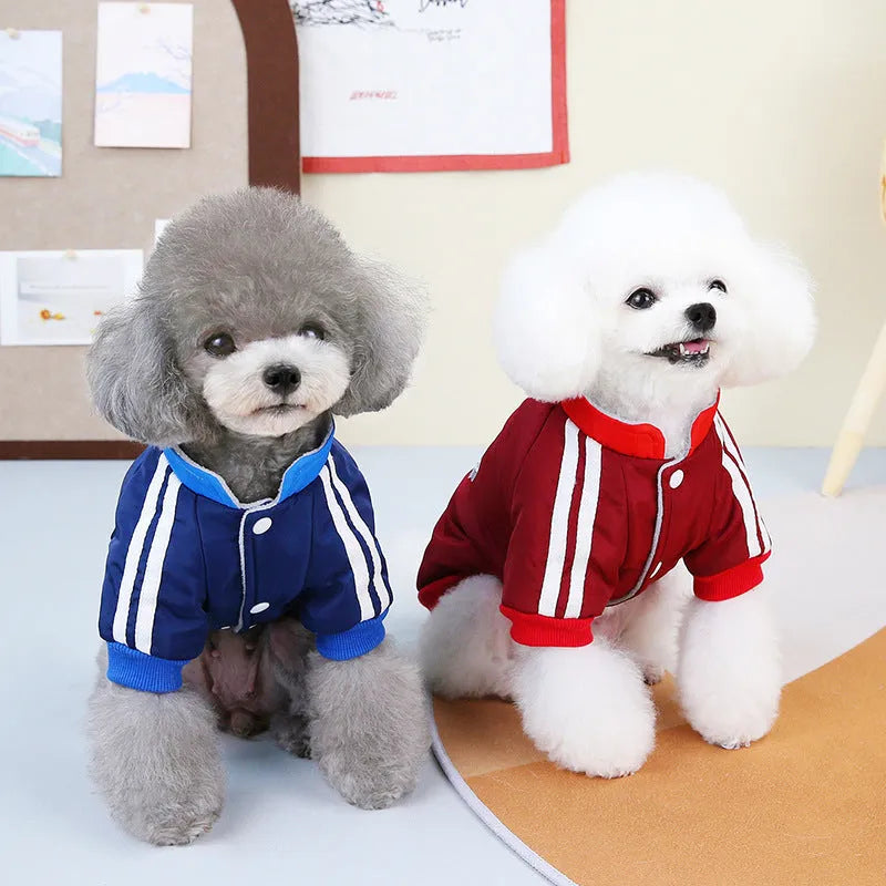 Red or blue thick cotton V-shaped splicing coat for dogs on size chart.