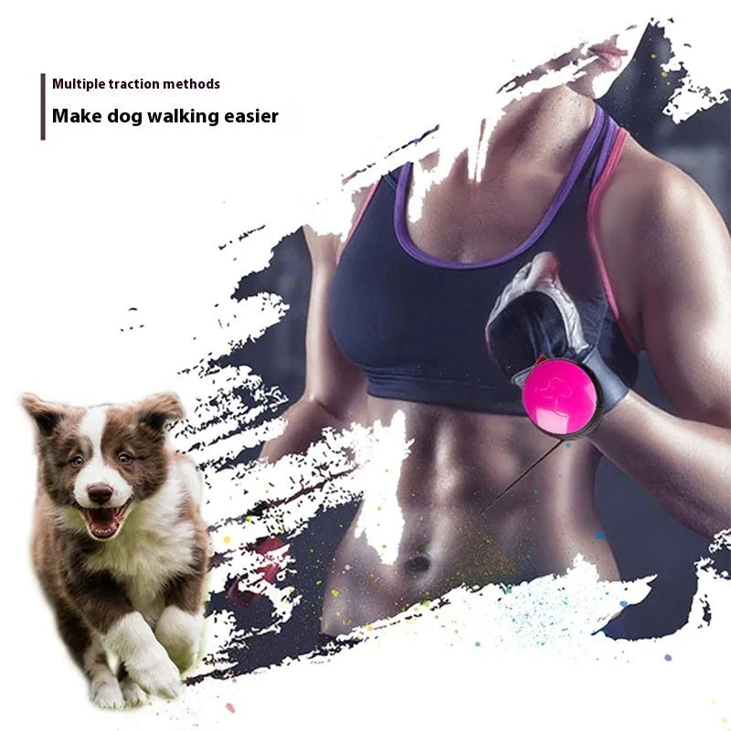 Automatic retractable dog leash with handle in a choice of six colours, extended on a 3m nylon cord.