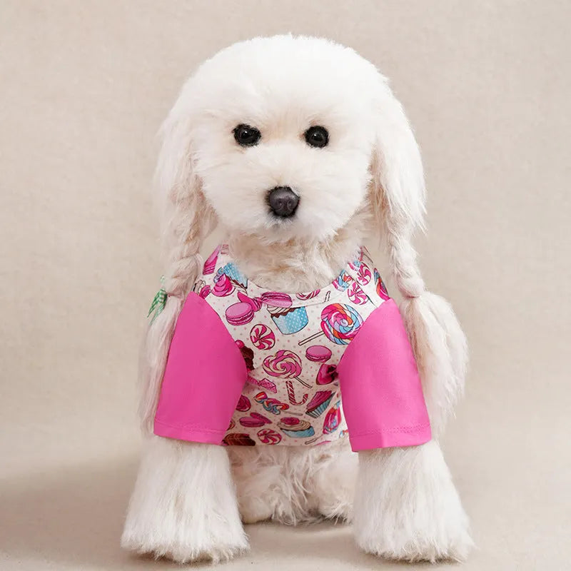 Small dog wearing a colourful printed polyester t-shirt for casual spring or autumn weather.