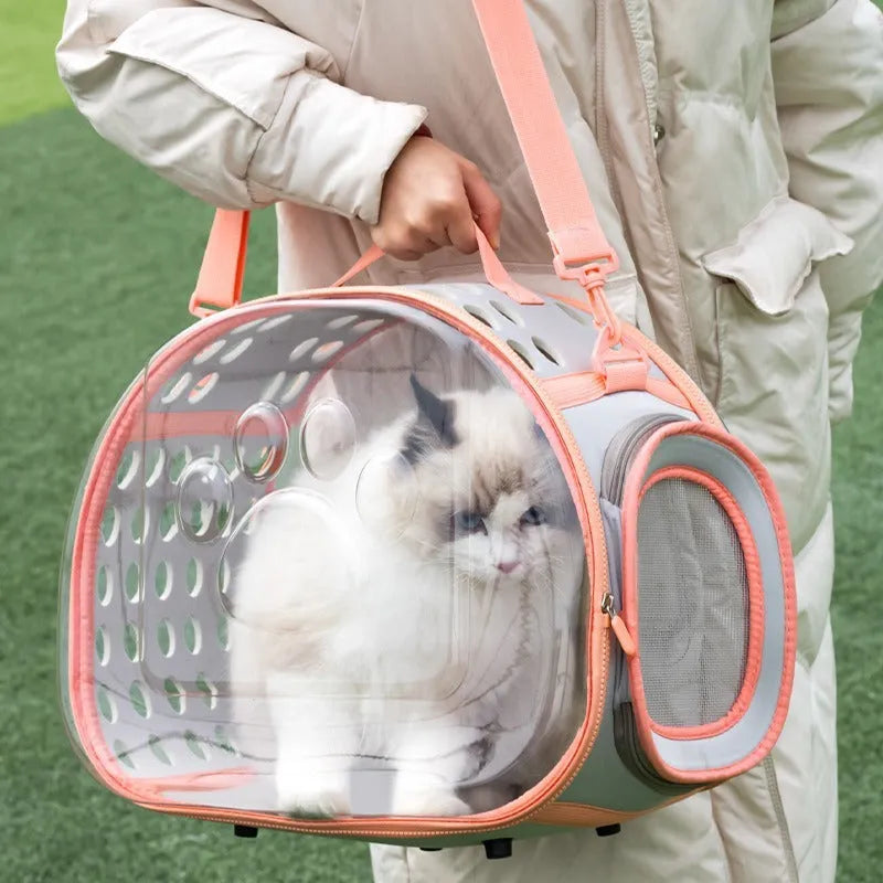 Transparent EVA cat carrier backpack in grass green colour showing hard-shell construction
