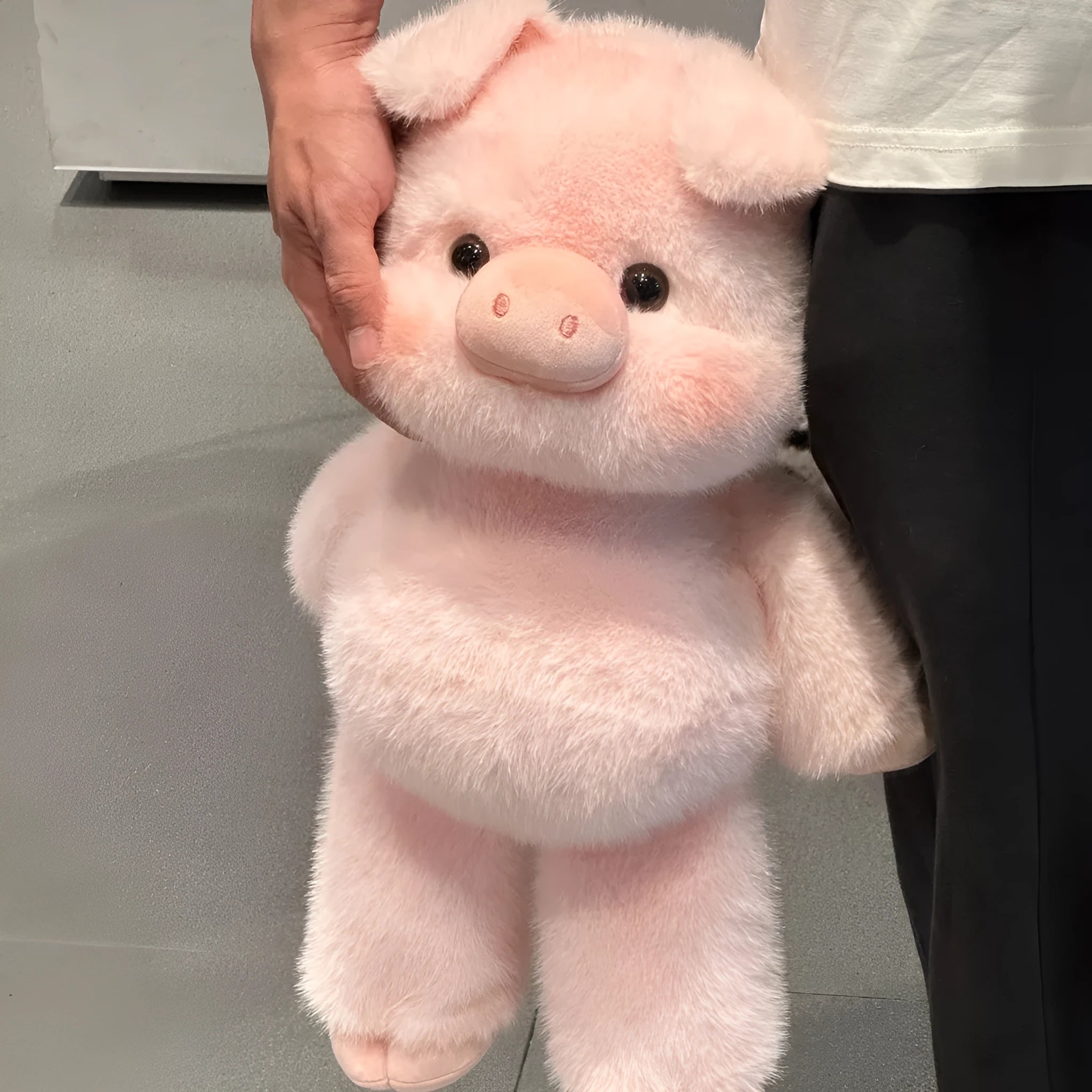 Twelve Zodiac Little Fragrant Pig plush doll by Cubs, 45cm tall, polyester, on white background