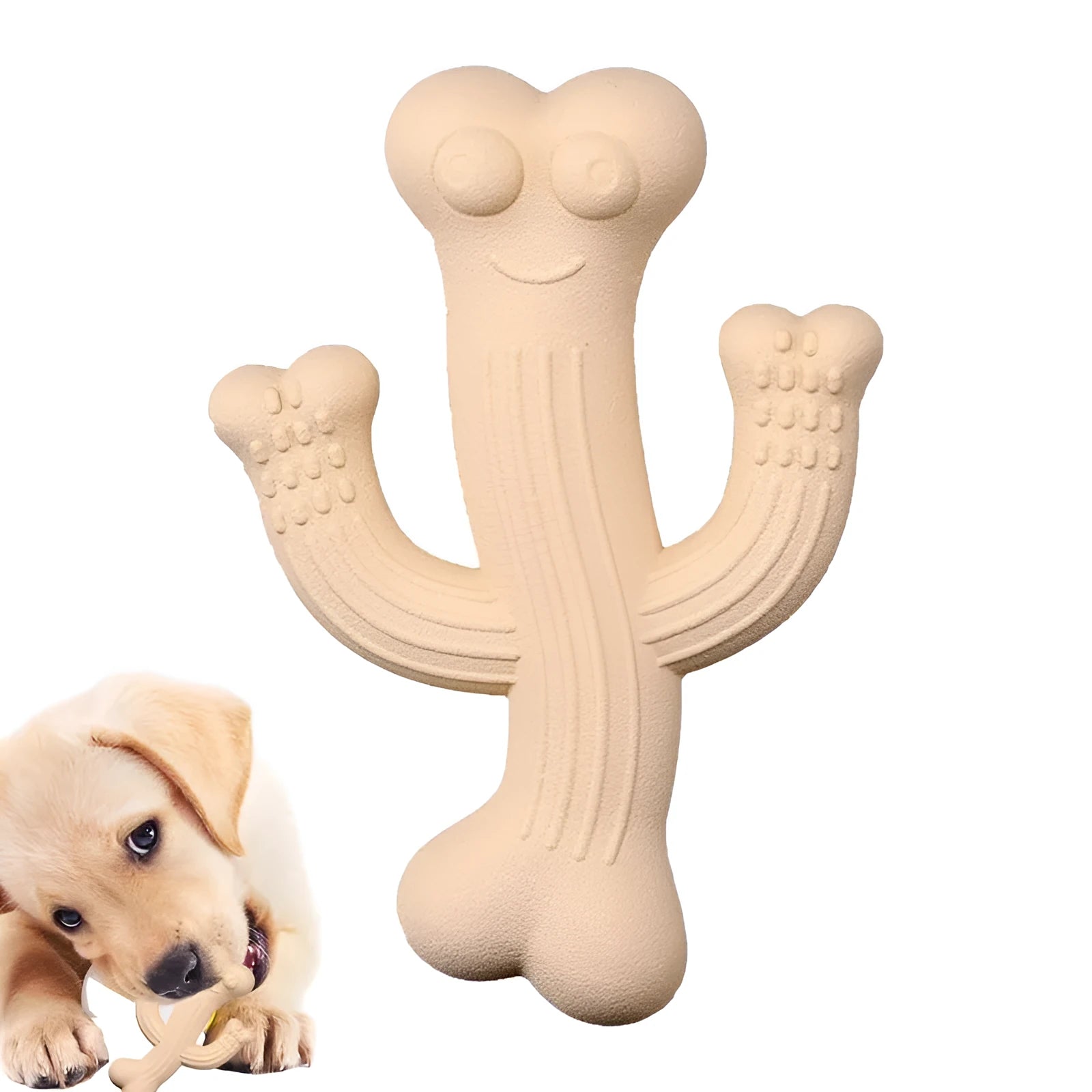 Cactus-shaped dog chew toy in bamboo fibre and rubber, shown in beige, blue, and purple colours.