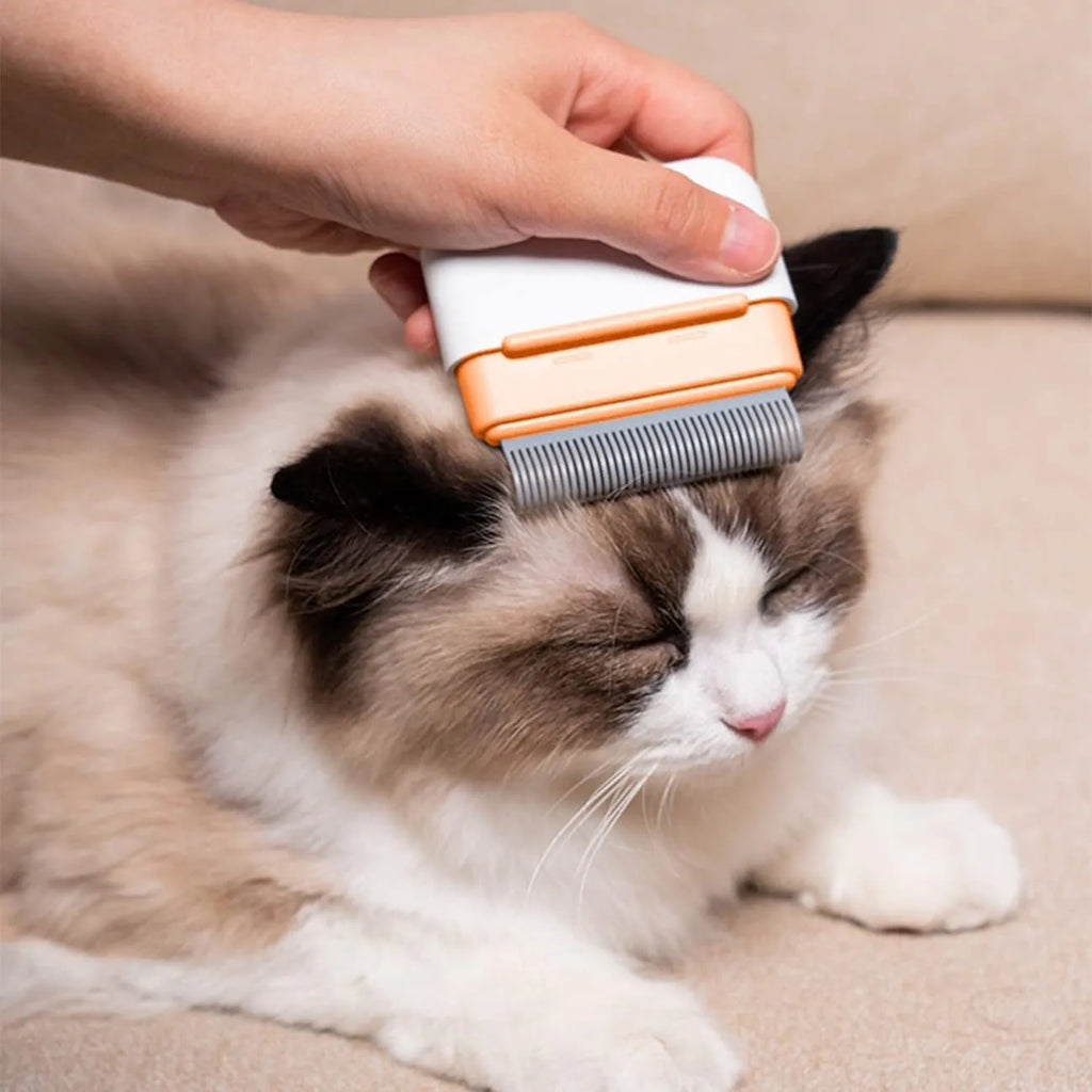Blue dual-sided pet grooming comb showing massage and deshedding sides for cats dogs rabbits