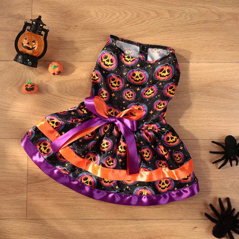 A dog wearing a double-layer Halloween skirt with a colourful pumpkin print.