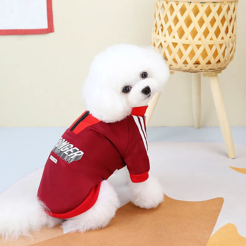 Red or blue thick cotton V-shaped splicing coat for dogs on size chart.