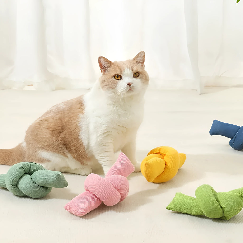 White cotton dog rope toy with multiple knots for tug of war and chewing