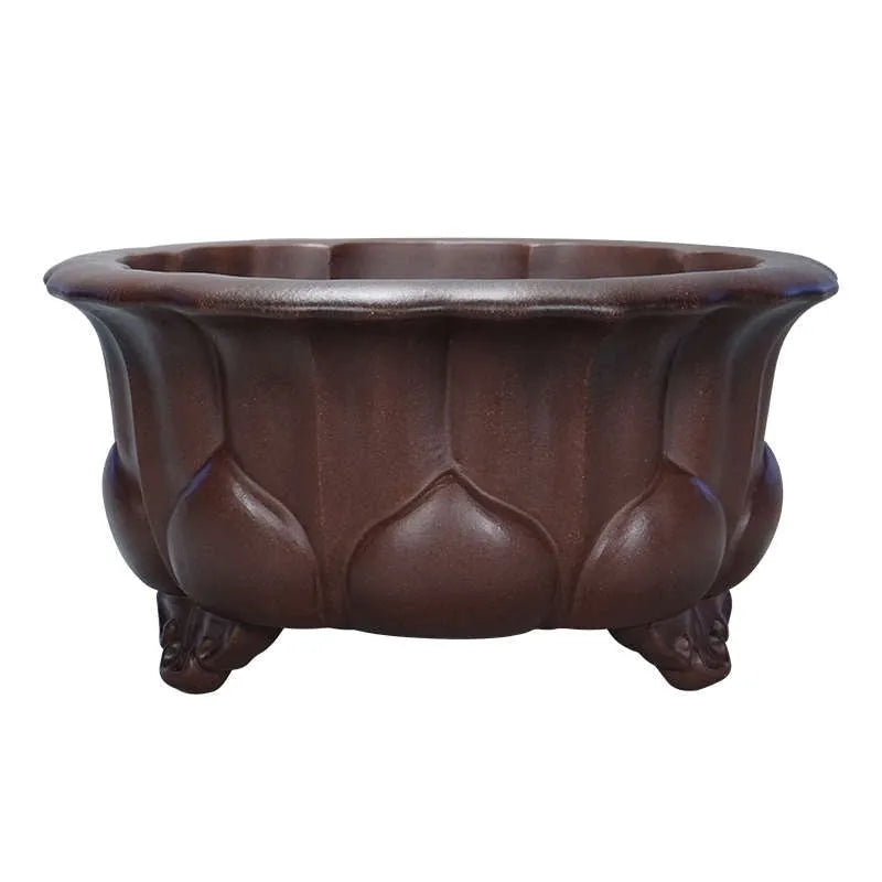 Square purple-red ceramic succulent planter with classical flared rim on a table.
