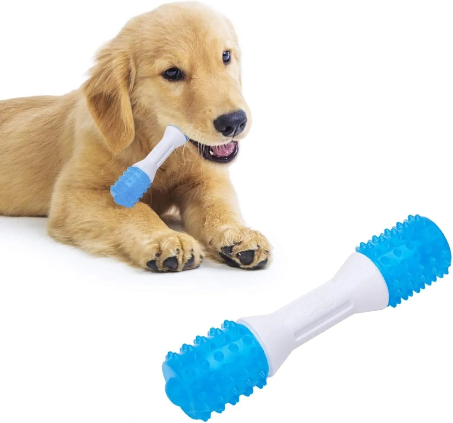 Dual-colour puppy teething chew toy in aqua bone design for dogs aged 2-8 months